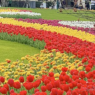 9226d2483cba0083c04f1b2372a5ec2d_sz-2081749 9226d2483cba0083c04f1b2372a5ec2d_sz-2081749