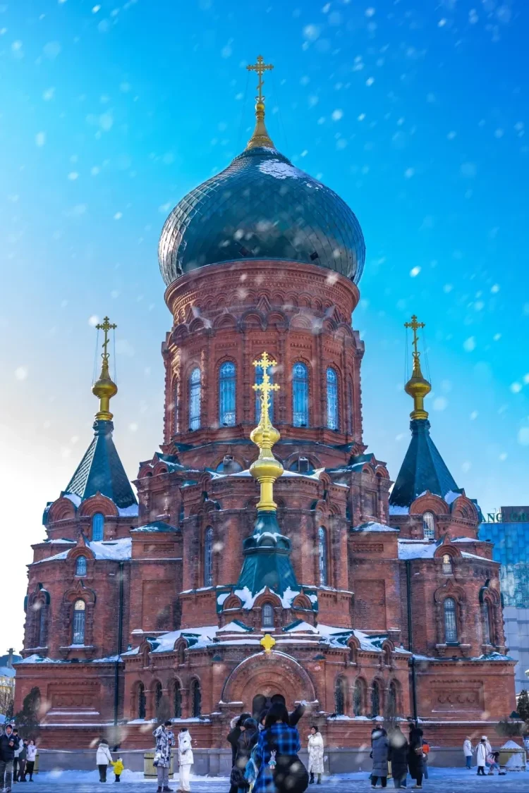 9256e4ab082a01f66dae9f4fd0dbc28d-sz_458842