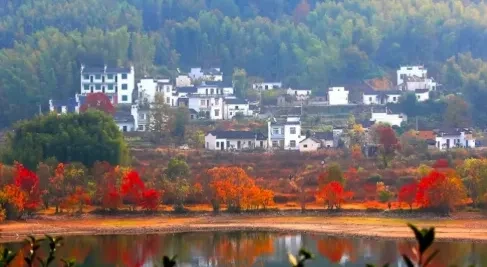 925aa7b2107e07745da7e0a79be5b88a-sz_344421 925aa7b2107e07745da7e0a79be5b88a-sz_344421