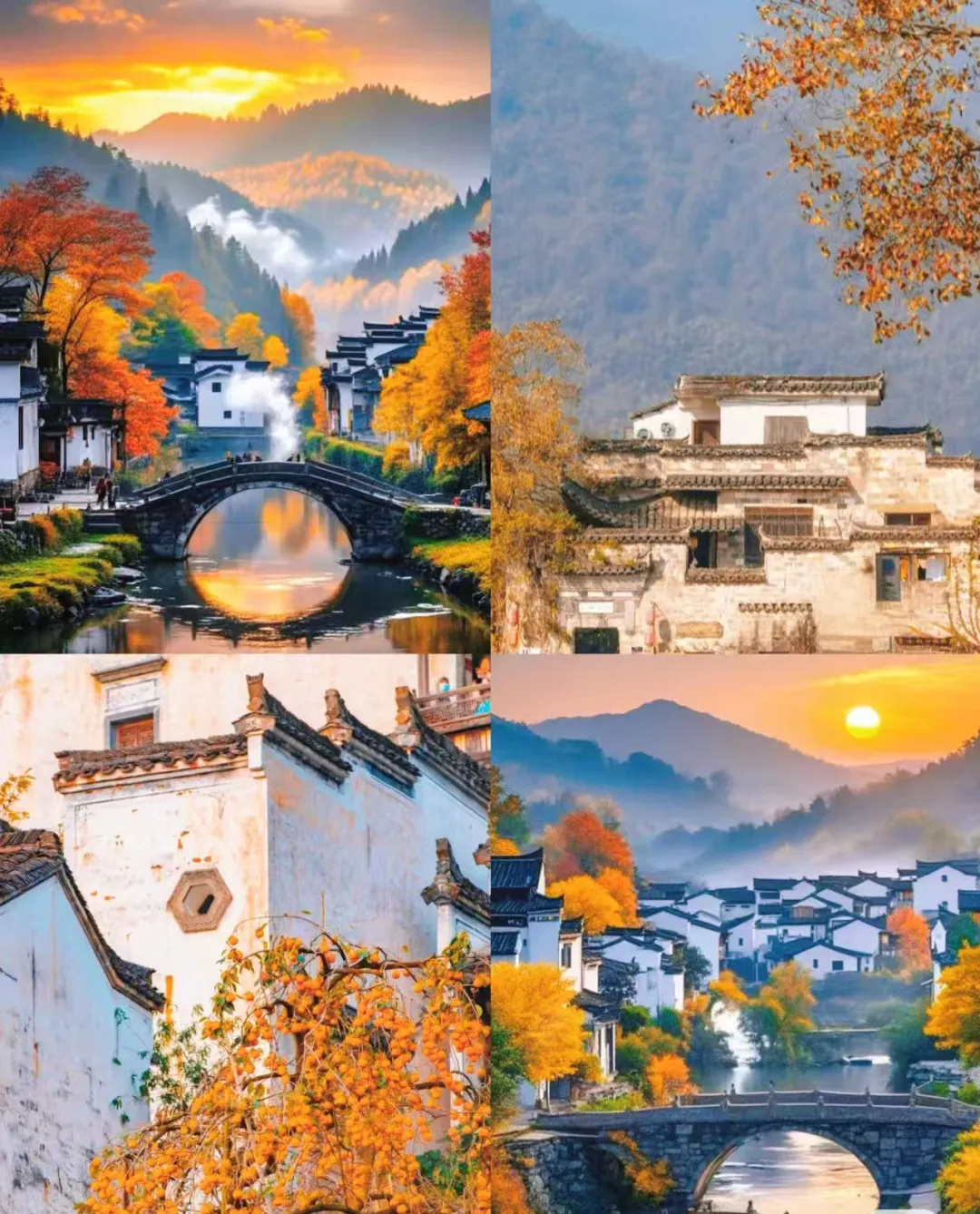 9260a9fd23fc1f9a74e178fc33eb3182-sz_1449412-2