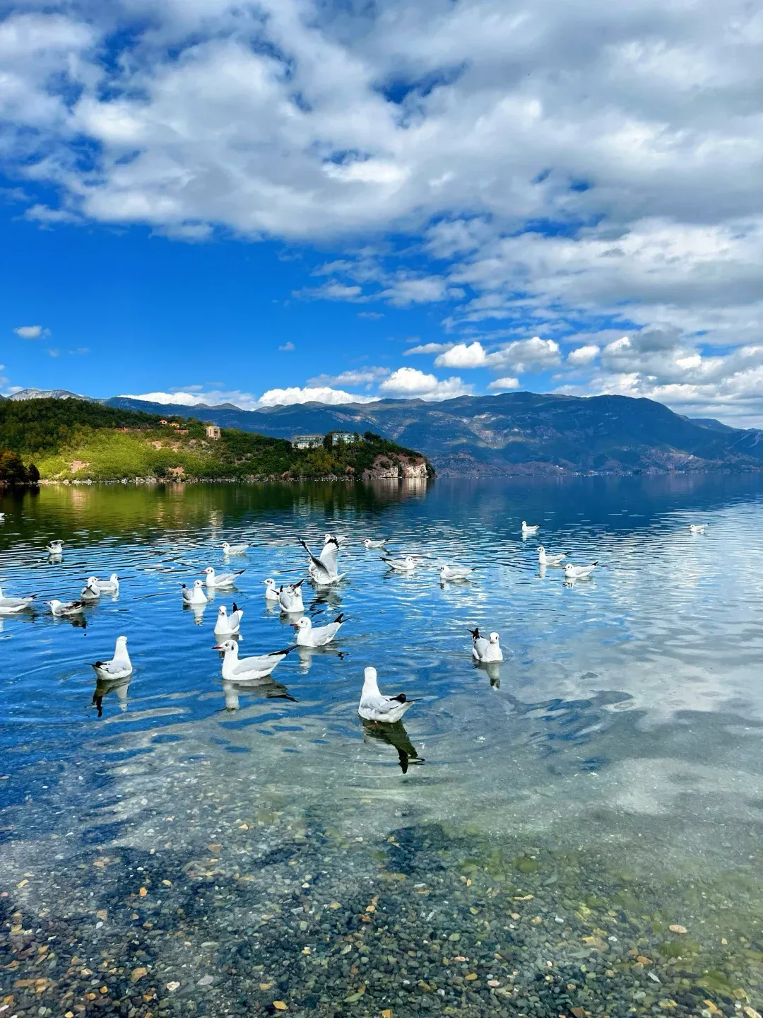 92718b46241e0746ad32425fc2ef764e-sz_2217166 92718b46241e0746ad32425fc2ef764e-sz_2217166