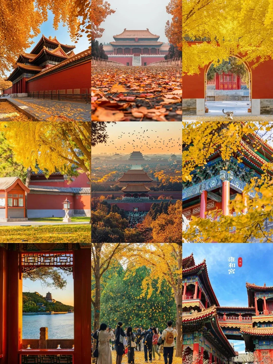 9287dd7605c09064f348f62832c763af-sz_688669 9287dd7605c09064f348f62832c763af-sz_688669