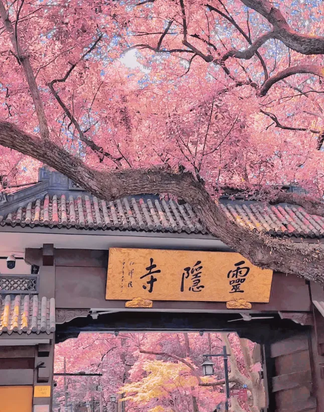 928b908973eef61d403ad8b0f2b8f671-sz_1302881-2