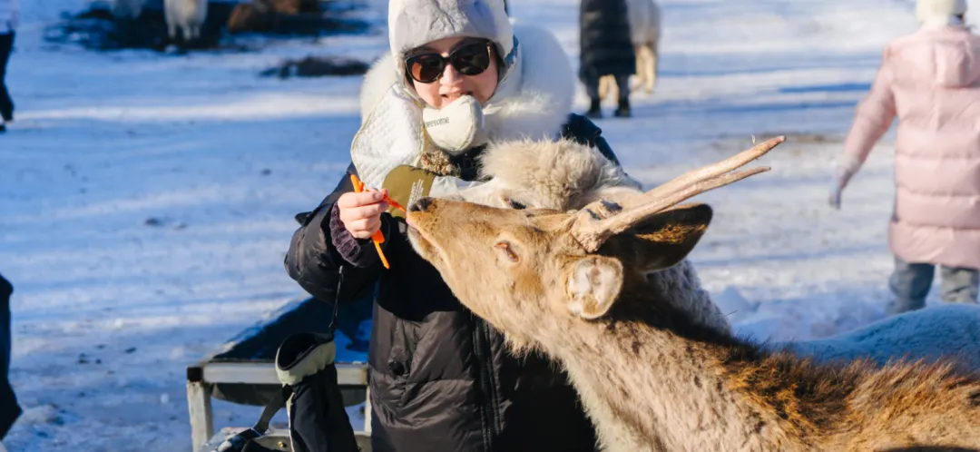 92b60e1afff12320c88bc8b80d235bae-sz_1719179 92b60e1afff12320c88bc8b80d235bae-sz_1719179