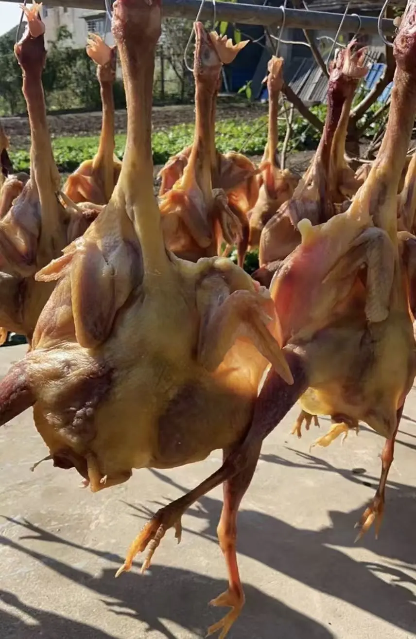 92f47db29c3c0a24c02f6f106b03470e-sz_168451