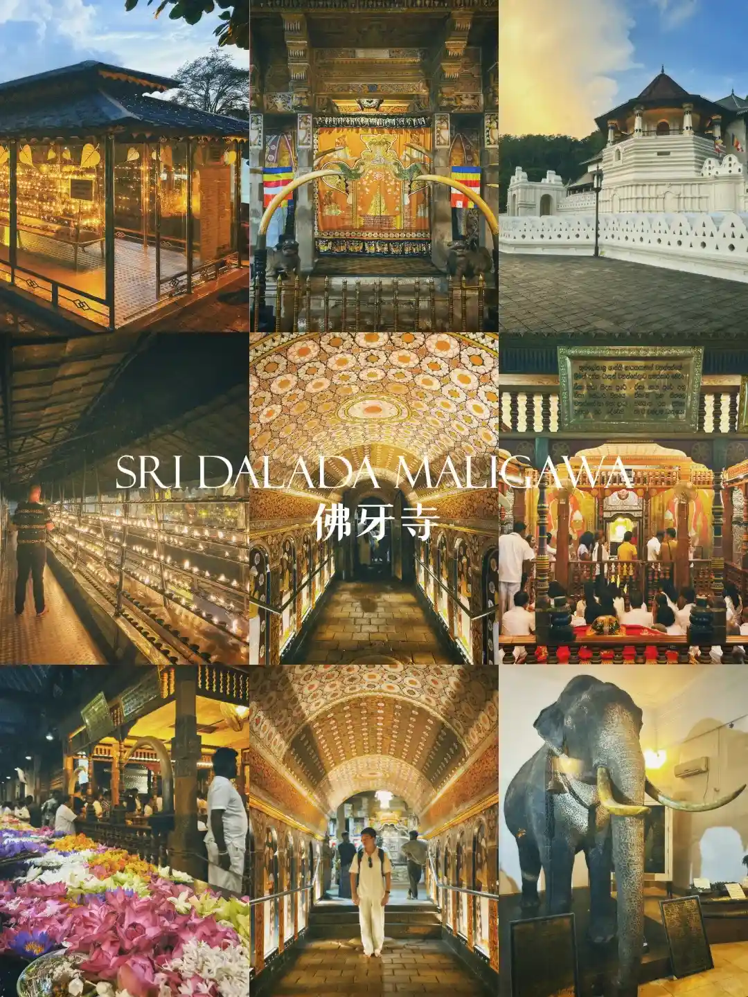 92ff1f2f9b1e615d677f2174138e012e