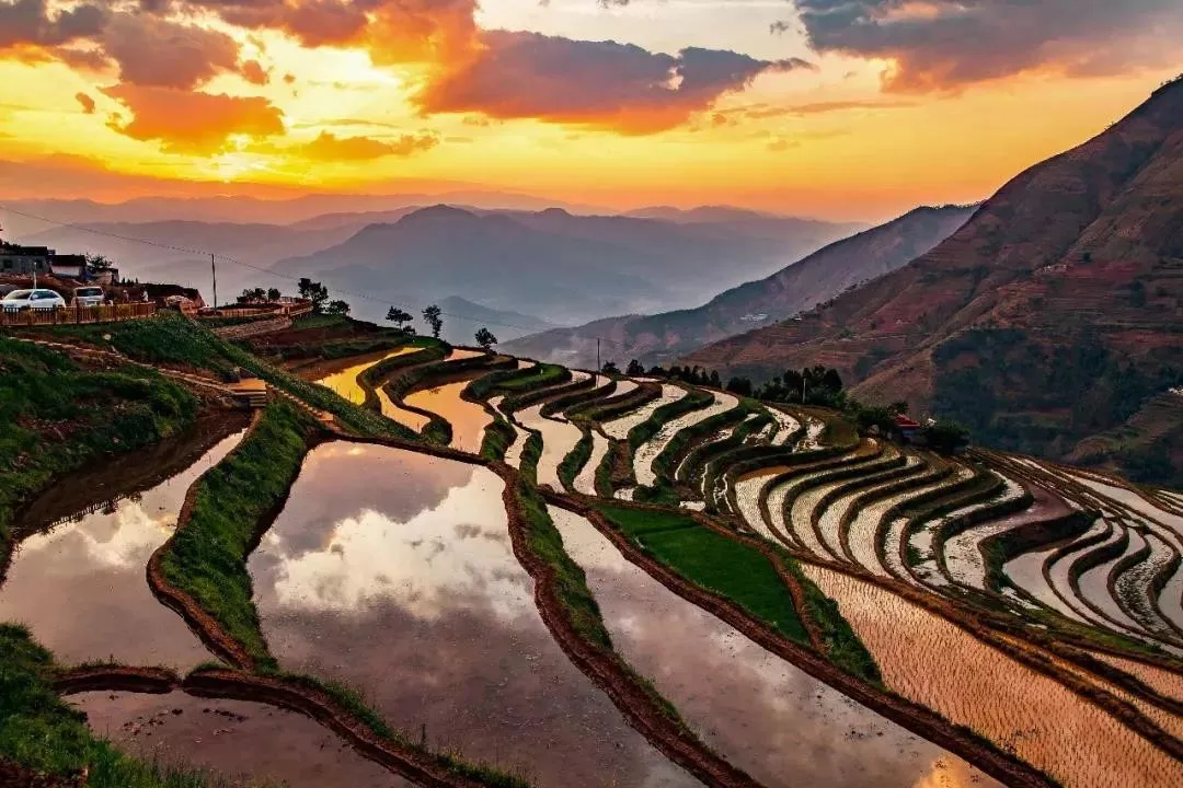 936134d832b03804c7cc10f1a7d39a4c-sz_254551-1