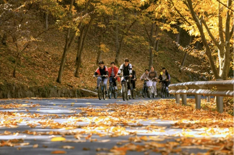 936eec8ed2bfb7e7373ed4c80cb20119-sz_1565499