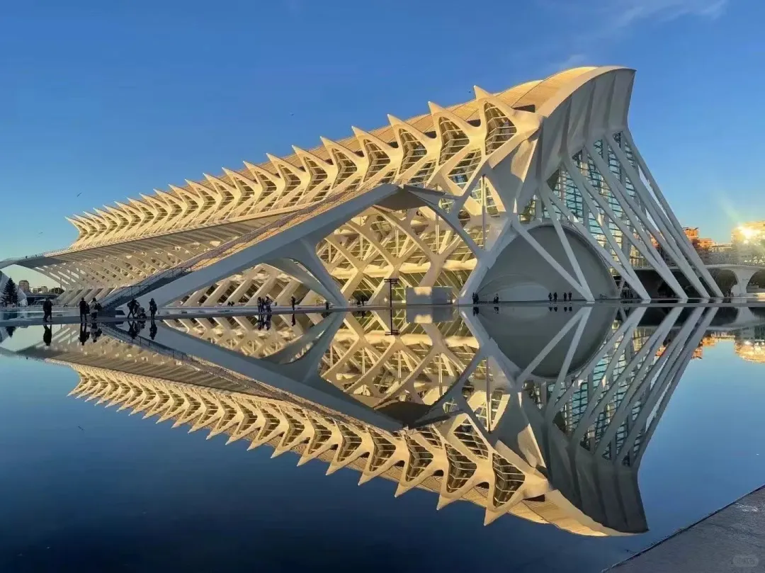 93d38941d35fa415d862a33cd0f2d080-sz_345994