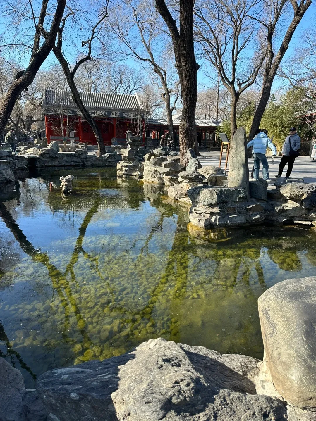 93dc1a45ffeb6943a065998eb19dc79a-sz_726783