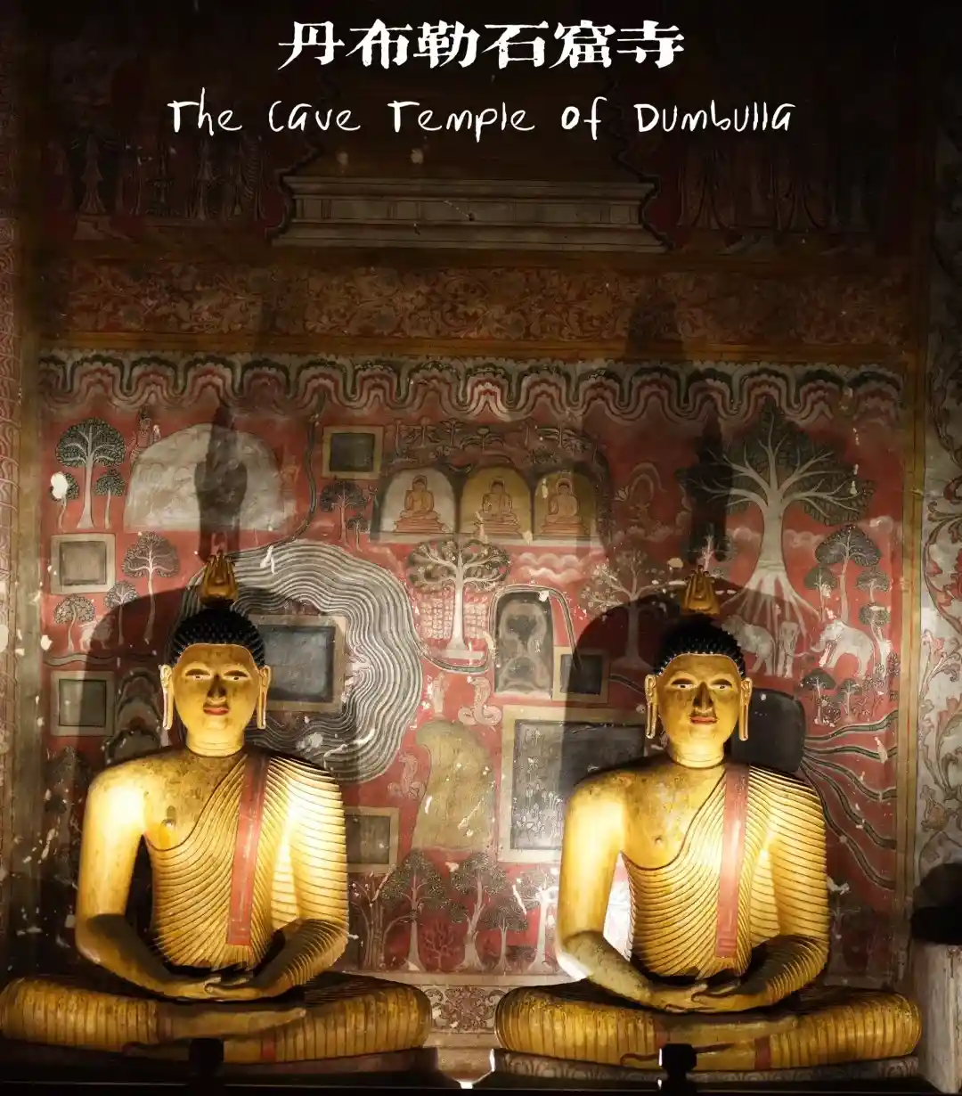 93dd9176d9c1c10cdb53fe7e9a0a3207