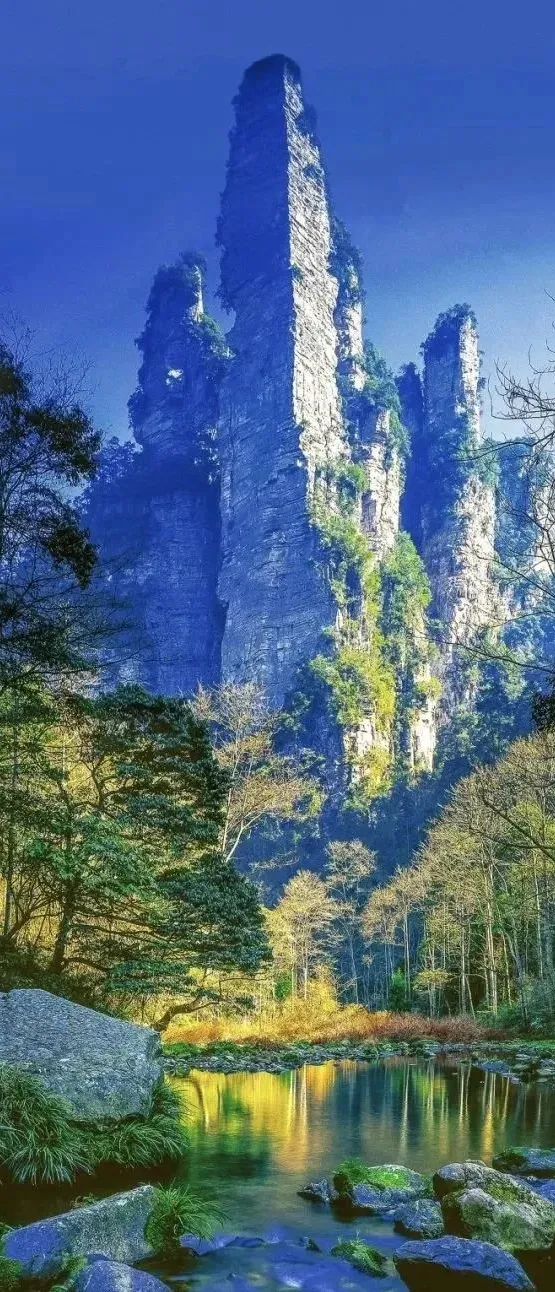 9401e1e0ff35493d44f3110045884942-sz_377844