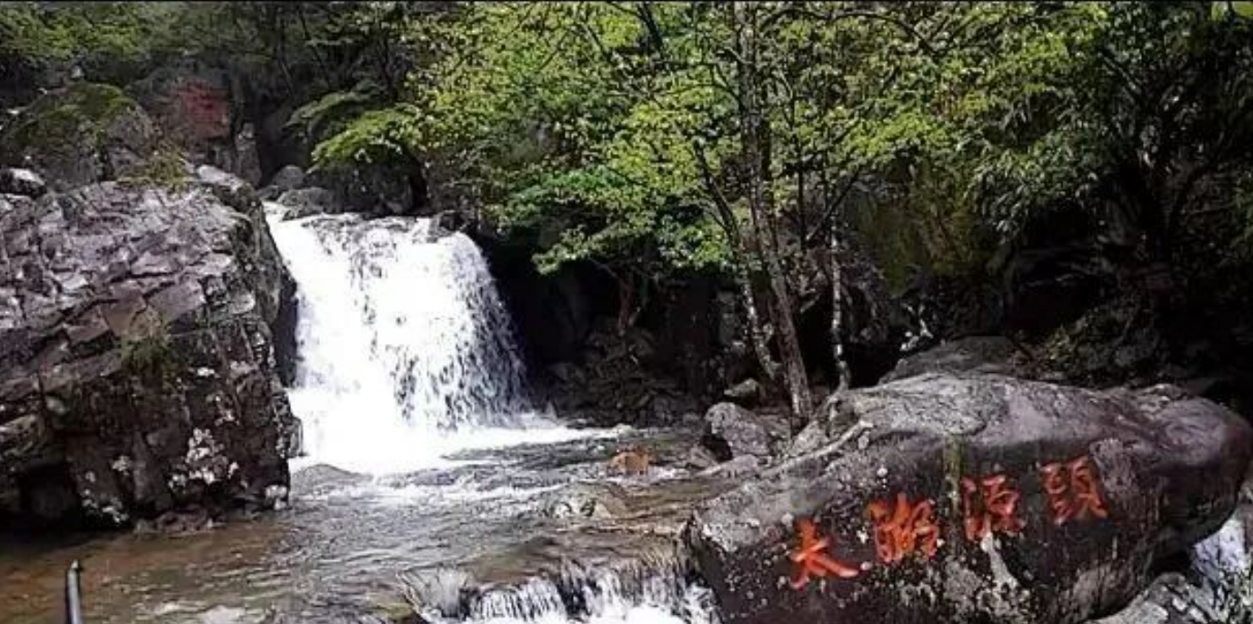 941db15a9a2cb39219642e7483687a67