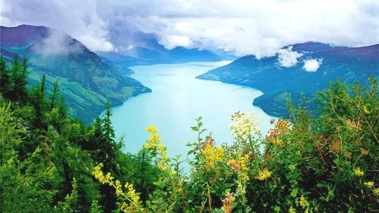 9456e6bae1b21974cba03f96fb44802e-sz_115821