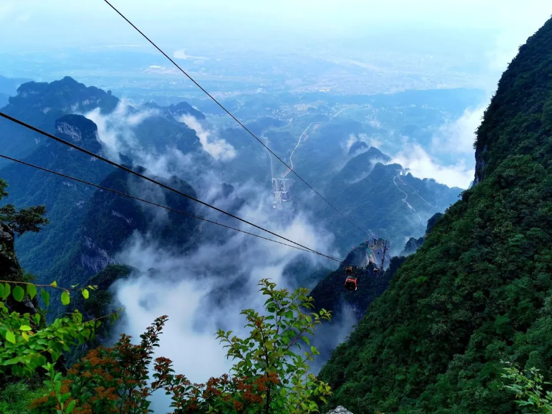 946cdfbb0443ca34e91d4dcde6eb99cd-sz_318337