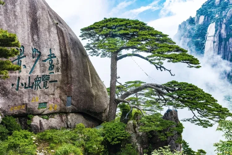 947d28ab8116250b0e27db9f4294adf9-sz_472738 947d28ab8116250b0e27db9f4294adf9-sz_472738