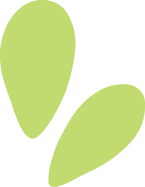 94a5c44655a2bea5de908ce35d05422c_sz-10802-3 94a5c44655a2bea5de908ce35d05422c_sz-10802-3