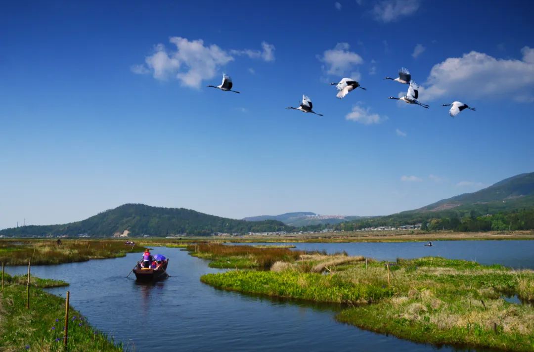 94cb755fbb124b915b05aee10c2f2281-sz_1297169