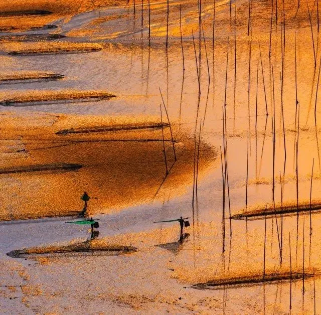 953a20b8839e2b6663ca07d06194923a-sz_129065