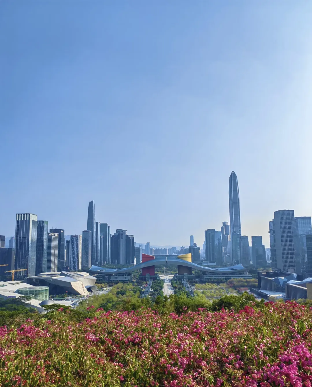 953cf72fcca8687002523deb69053017-sz_1122479