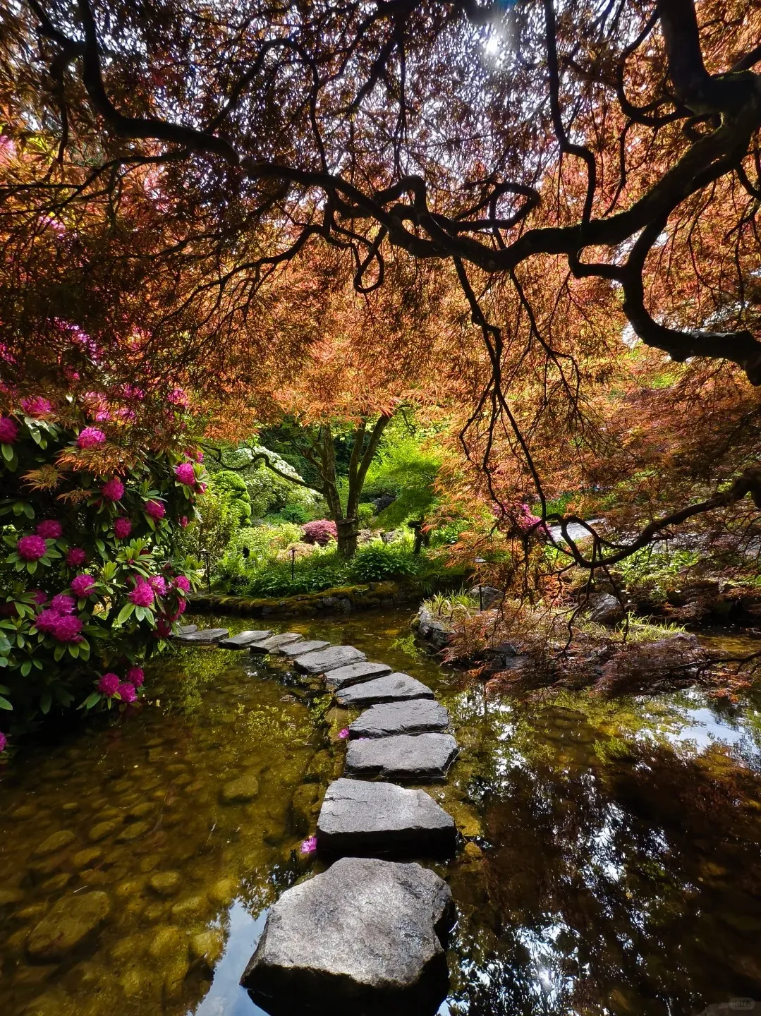 956725c5ea4898ed984e9c97fe7421ea-sz_826197 956725c5ea4898ed984e9c97fe7421ea-sz_826197