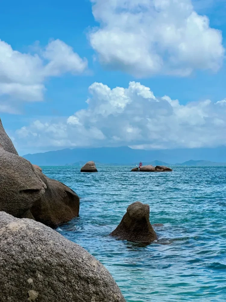 956d2b7a4e1ec31fae9608770f0a620d-sz_2768679