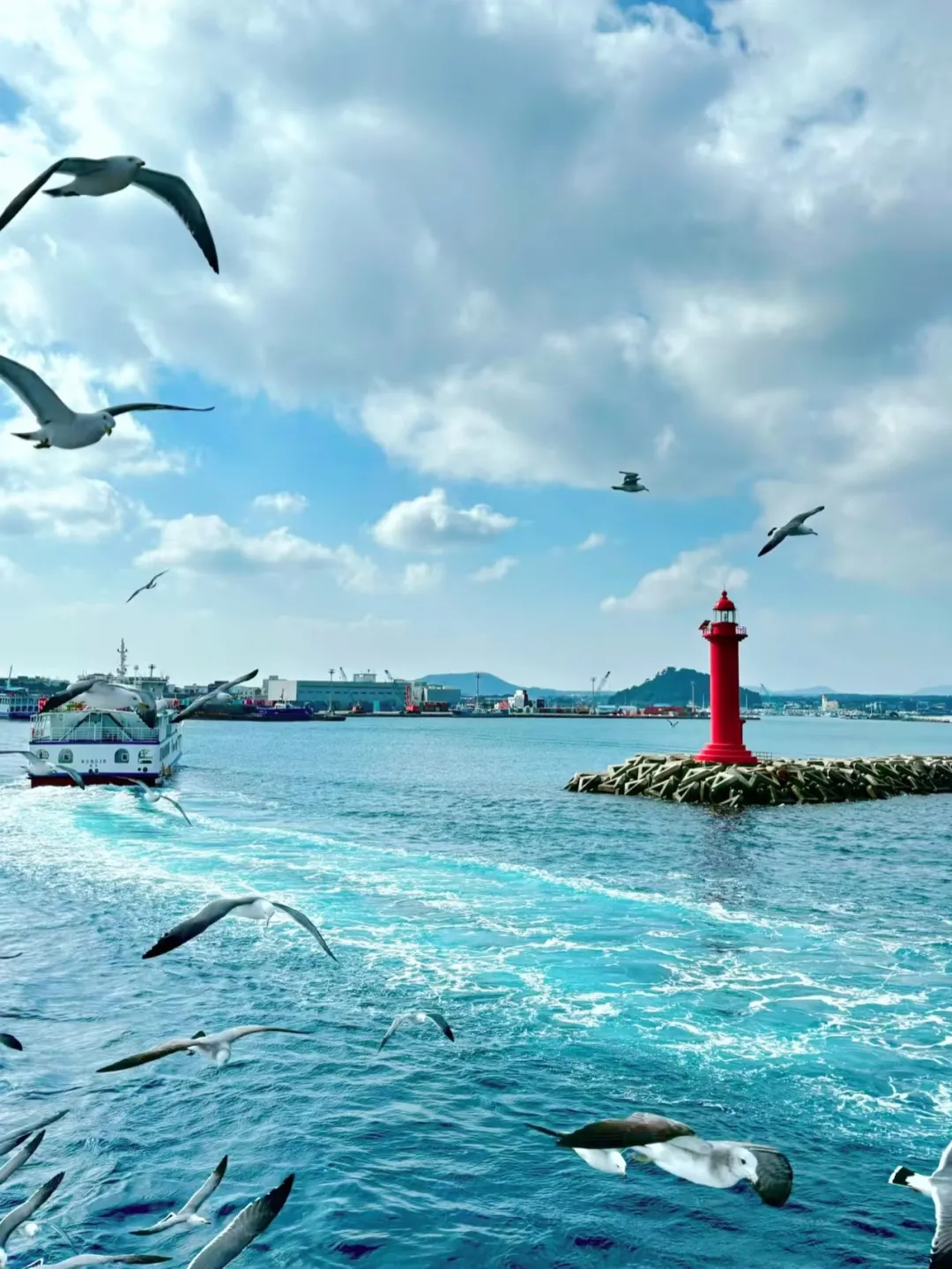 ★遇见济州★纯玩5天4晚半自助游（四钻）