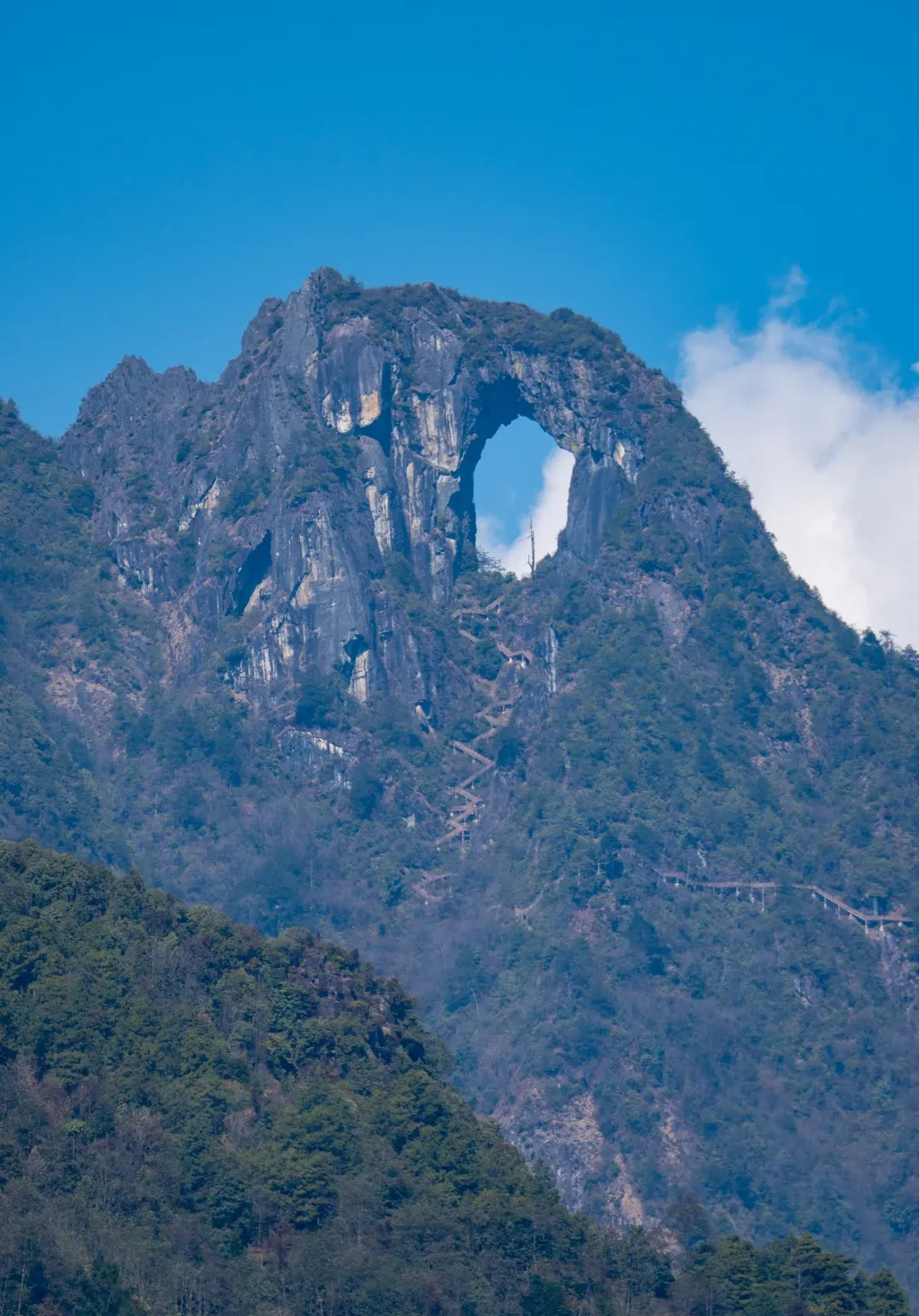 959190bf6da9e2f8f34be9362455cc3b-sz_3135016 959190bf6da9e2f8f34be9362455cc3b-sz_3135016