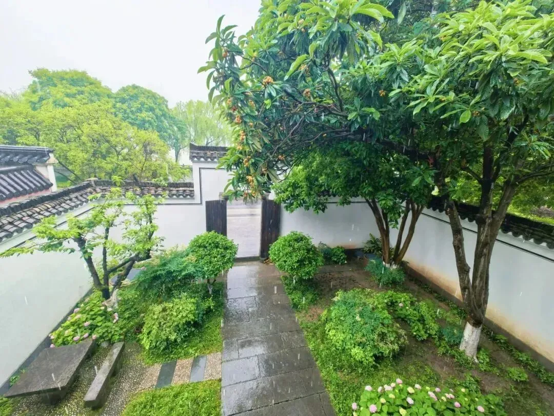 95a3c43c4b79e55b13bbd2c53c8181f3-sz_221131