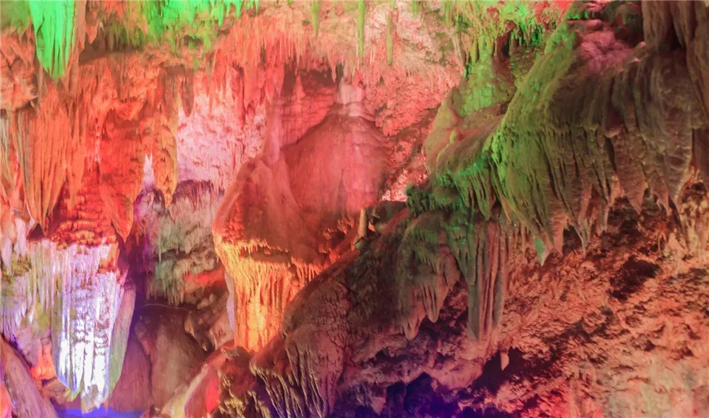 95e6dad07636ca9733b2c38661abc949-sz_232224-1