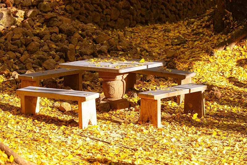 95ebcc2aba8ae909fe1b7eae356eef4b-sz_250713