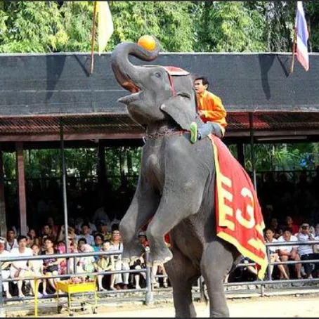 96340e918f5c6b00e2d9edfe16959624-sz_833885-1 96340e918f5c6b00e2d9edfe16959624-sz_833885-1