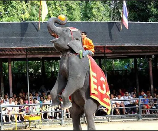 96340e918f5c6b00e2d9edfe16959624-sz_833885 96340e918f5c6b00e2d9edfe16959624-sz_833885