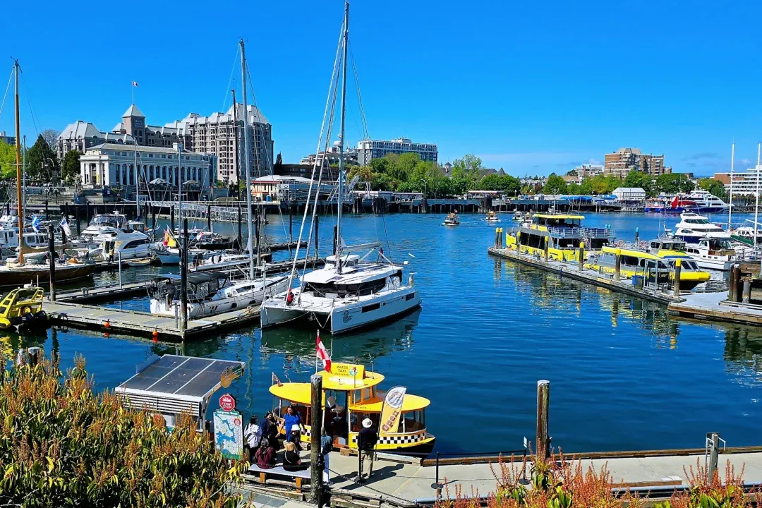 964a55b183e7c3e2dcd66f5848793eb1-sz_2589890 964a55b183e7c3e2dcd66f5848793eb1-sz_2589890