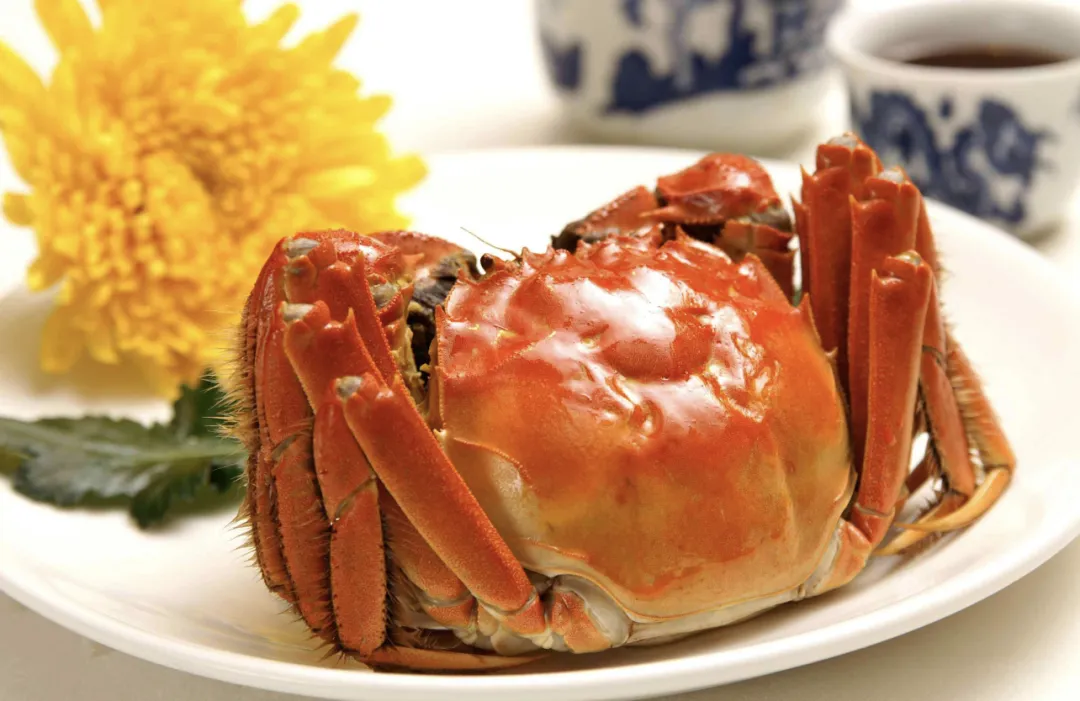 966f0792c20aa2a17905b279bb401a90-sz_1075128