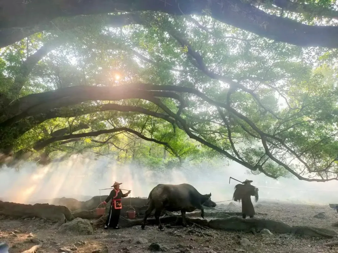 967a1589ed57b8efc8f007f43eea6213-sz_478009-1