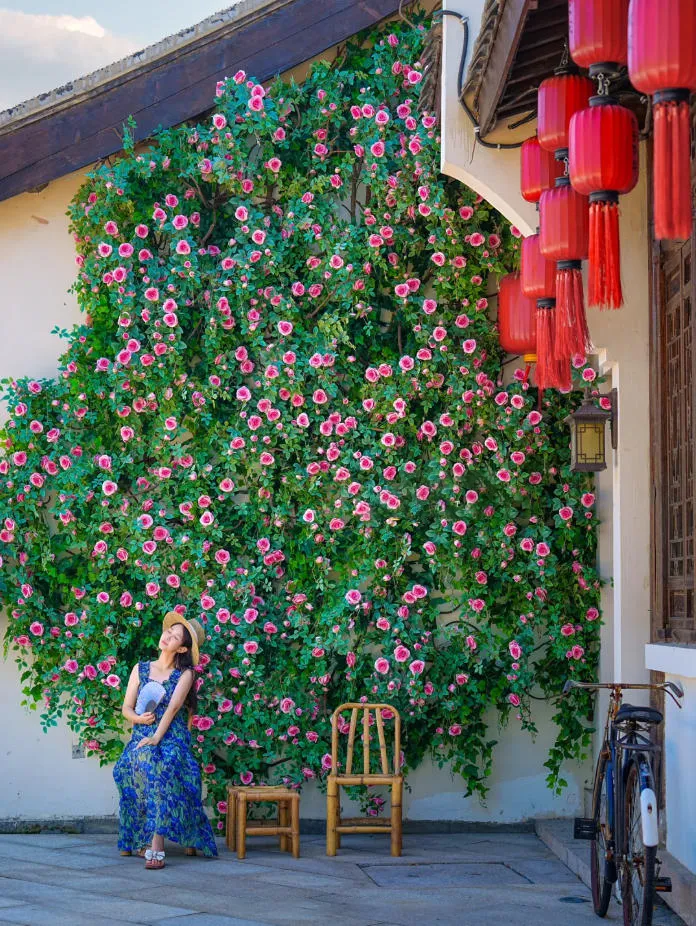 968a2a56912ff6751fc87babf0b86114-sz_587182 968a2a56912ff6751fc87babf0b86114-sz_587182