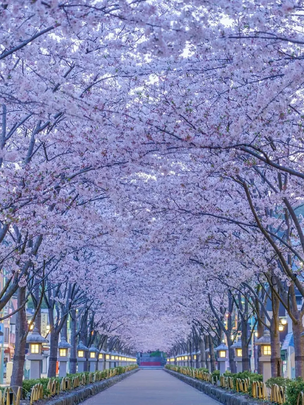 968e06020cb12acb0661dc5cc93c090b-sz_620490-2