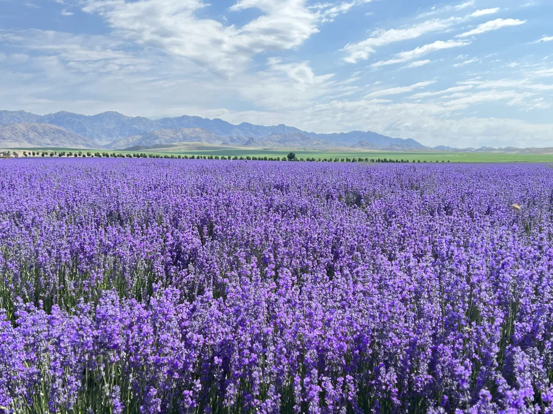 96d7579ef3789d011032869d05f107fa-sz_4315337 96d7579ef3789d011032869d05f107fa-sz_4315337