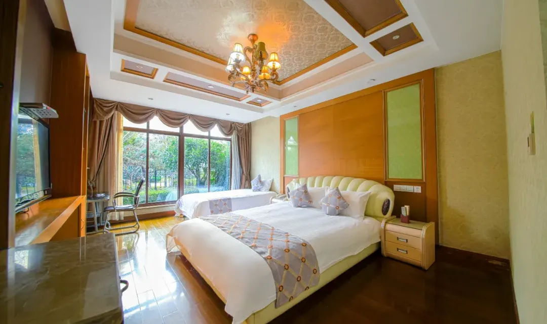 9728f6f46676bbf406126a54d9b845c9-sz_1186466