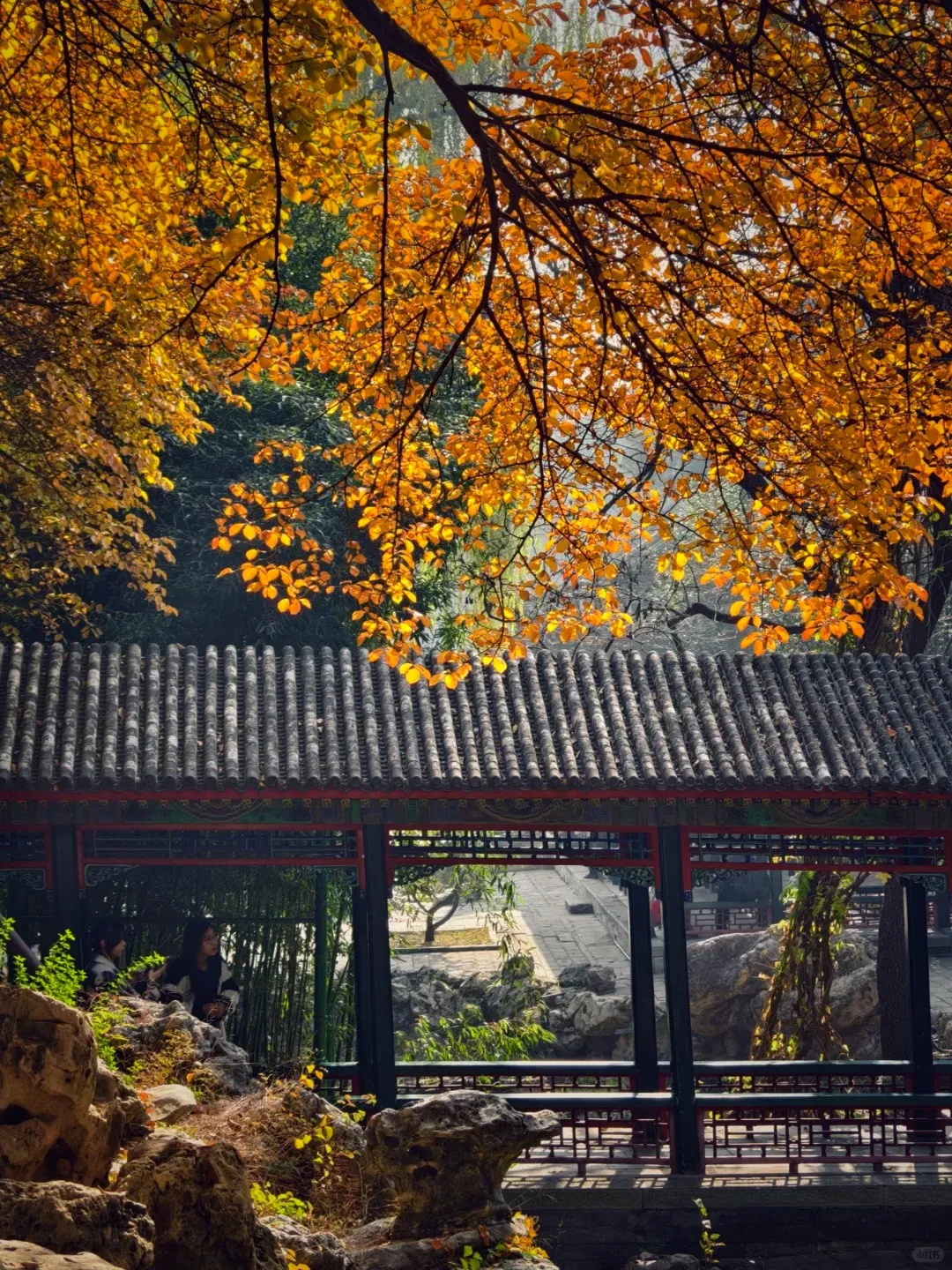 973db6a8d5c1b04719f52d1d4060746c-sz_718359 973db6a8d5c1b04719f52d1d4060746c-sz_718359