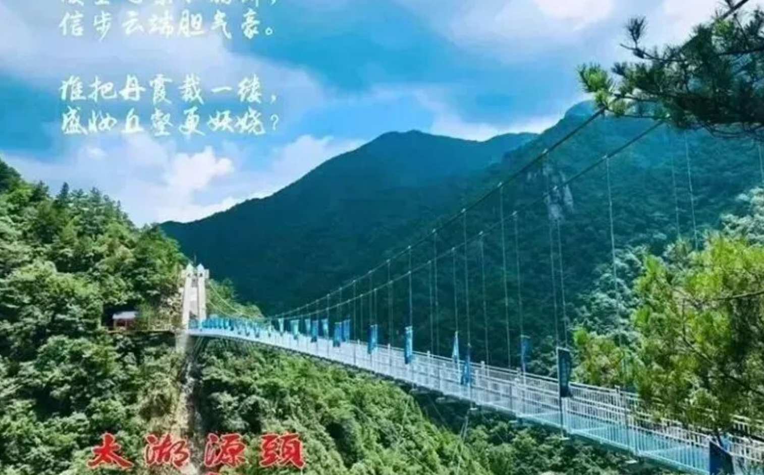 97712dc06dd2378d927fd1204475a6c0