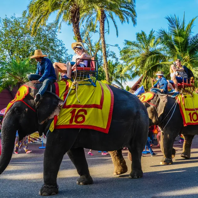 97846d59897006caf5c3e307b1225f7f-sz_1444650 97846d59897006caf5c3e307b1225f7f-sz_1444650