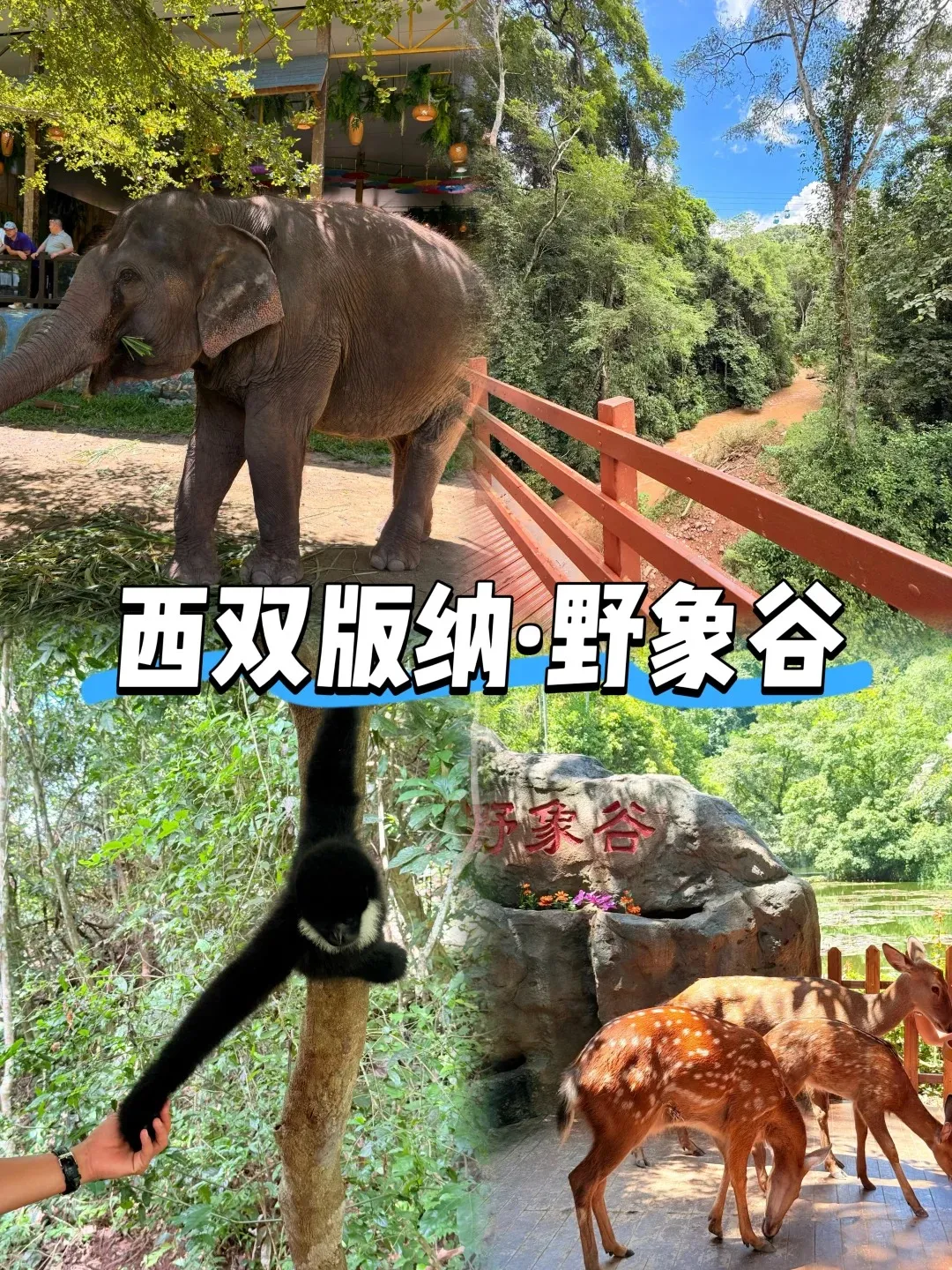 9789677c469ee18c4ba739007124061c-sz_761441