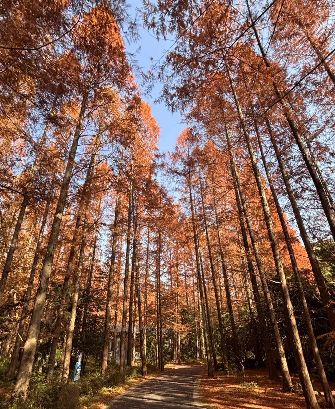 9791202047e8ee8b667641bb1268b9bf-sz_2849102