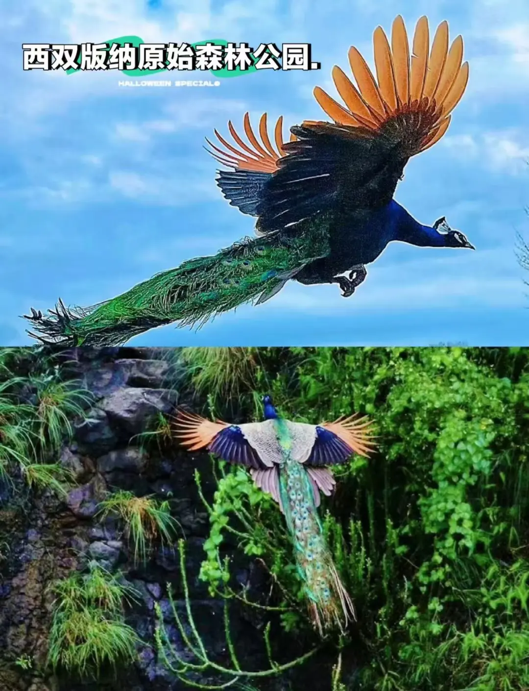 979451d4776869f4d56a6c6a5751cd62-sz_304590 979451d4776869f4d56a6c6a5751cd62-sz_304590