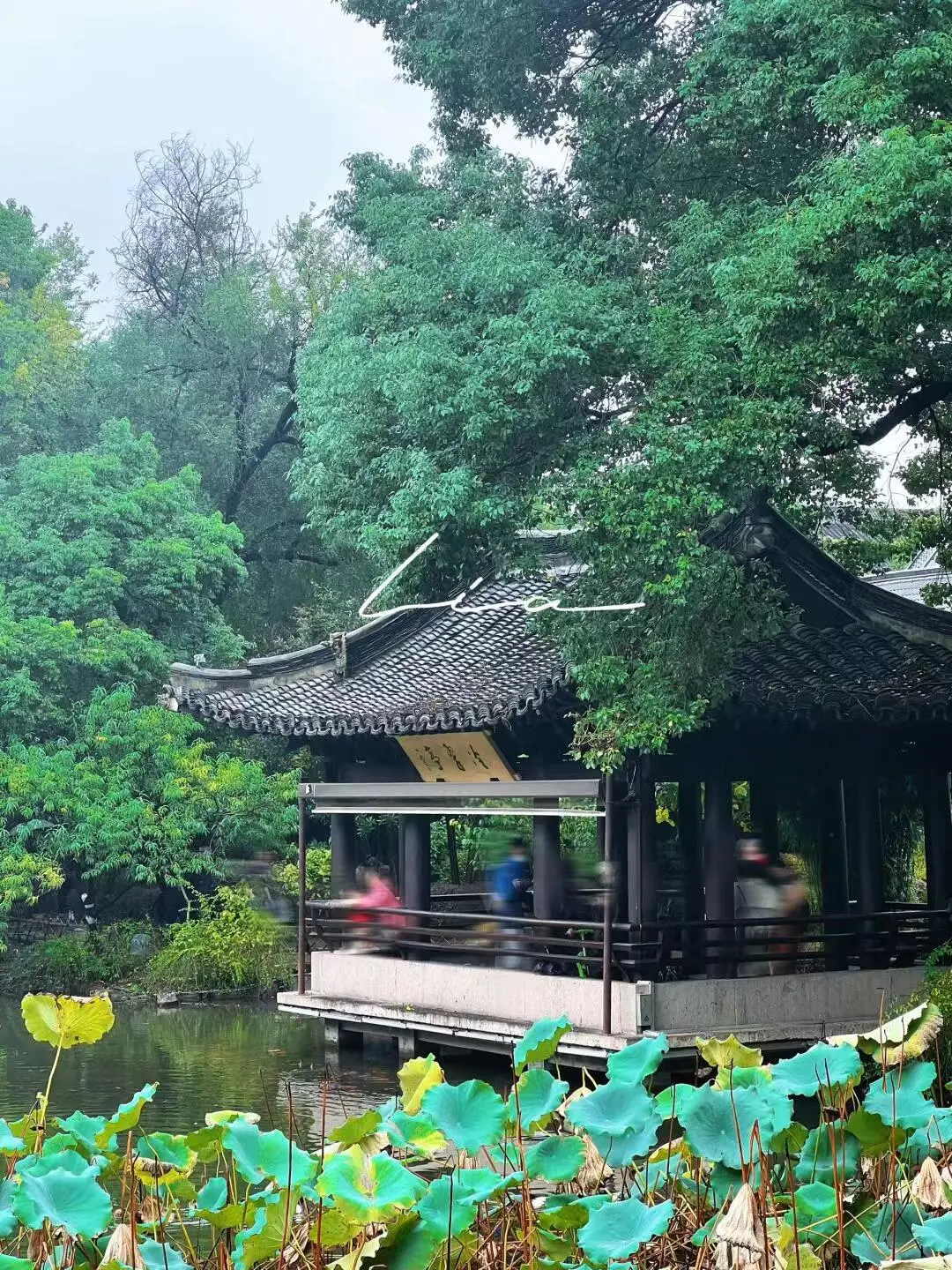 97c76849889c6cc464f452fd9a62d666-sz_440778