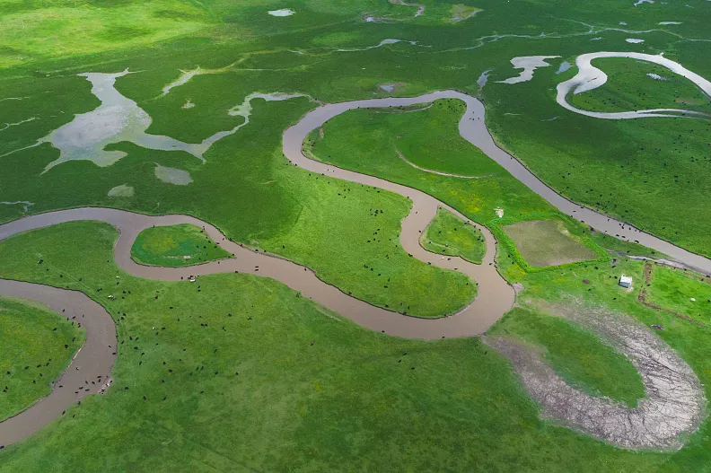 97d4e07ad917cd6bf9ede268ad76434d-sz_1112864