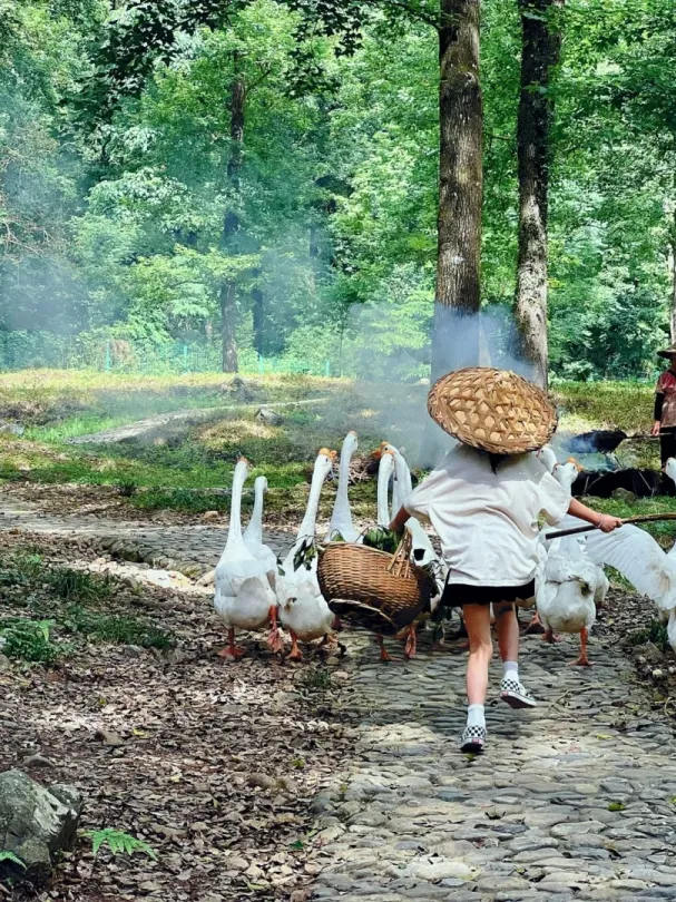 97e08e5b10807b3818f1a673f875a7bd-sz_914342