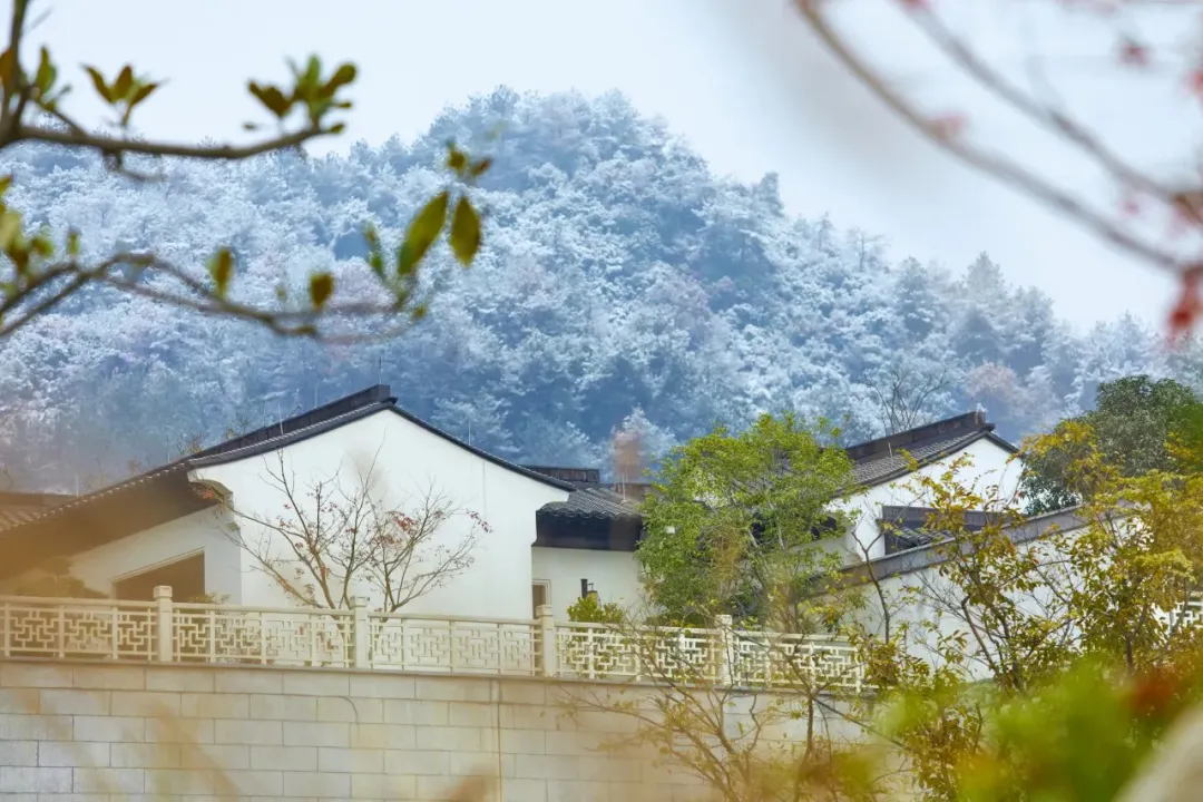 97e7fb7e5149a5cdd4dafe383c178602-sz_617067